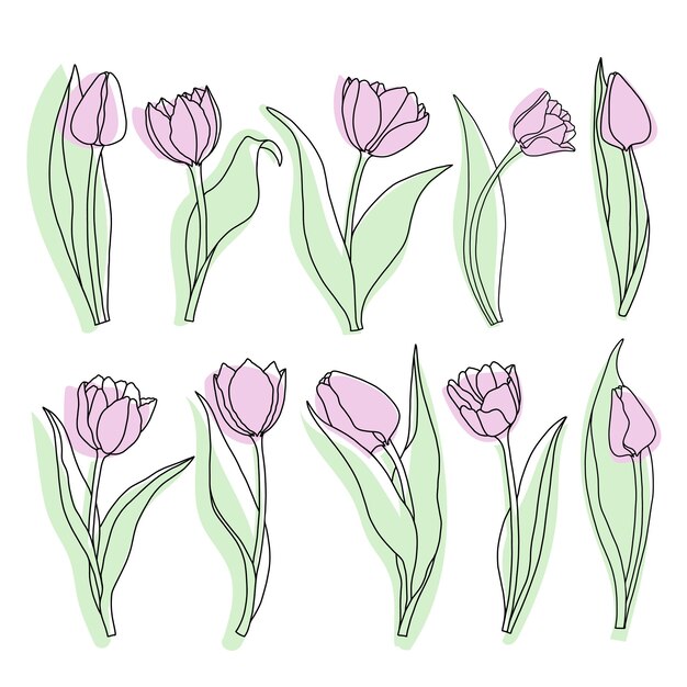 Vetor arte de linha flores de tulipa com formas coloridas ilustração vetorial floral desenhada à mão botânica minimalista