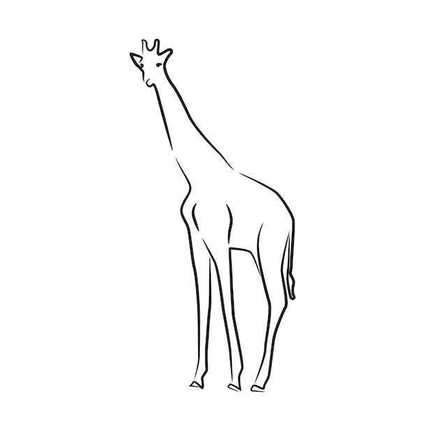 Arte de linha única contínua de girafa desenhada à mão