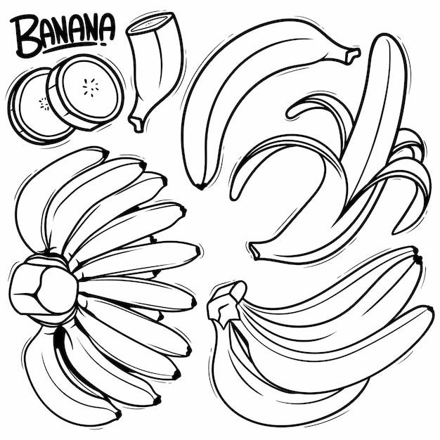 Vetor arte de linha vetorial de rabiscos de banana desenhados à mão