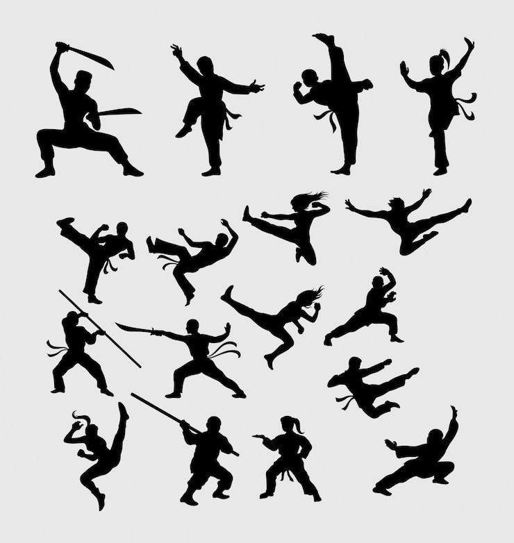 Vetor arte marcial e silhueta de kungfu