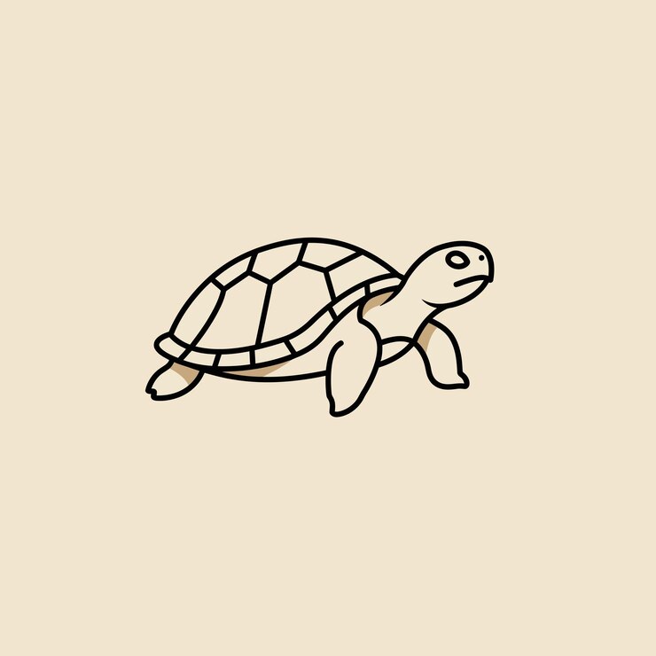 Vetor arte simples de linha de tartaruga