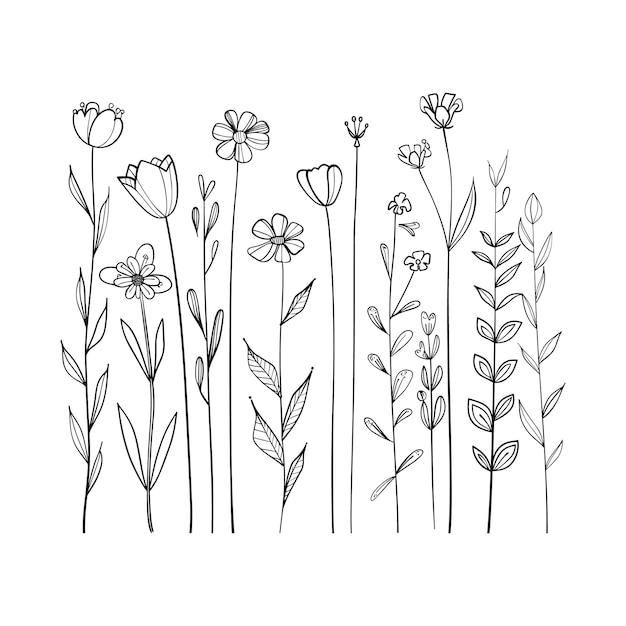 arte vetorial de cor preta com conjunto de padrões de flores