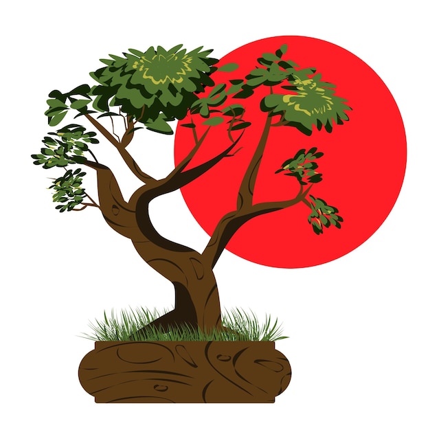 Vetor Árvore bonsai. árvore de bonsai japonesa na panela e com grama ao redor. ícones de plantas isolados no fundo branco. planta asiática com o sol ao fundo. imagem detalhada. vetor