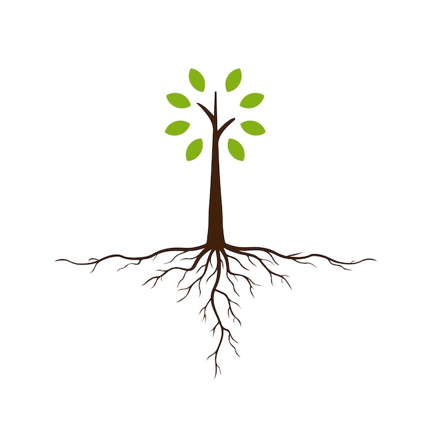 Vetor Árvore com raízes e folhagem ilustração vetorial