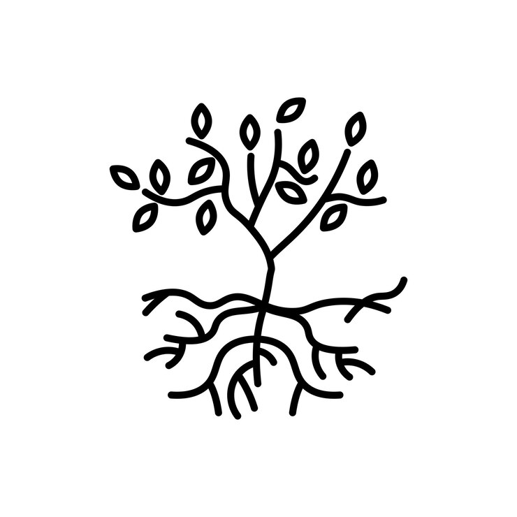 Vetor árvore com raízes e folhas icon set folha de raiz e símbolo vetor botânico em um estilo preto preenchido e delineado earth39s connection sign