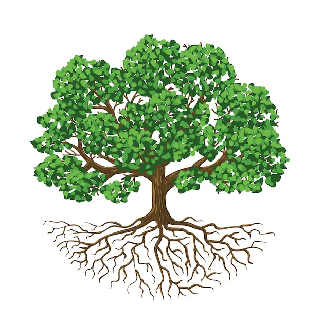 Vetor Árvore da vida árvore em crescimento natural com folhas verdes e raízes ilustração vetorial isolada biológica