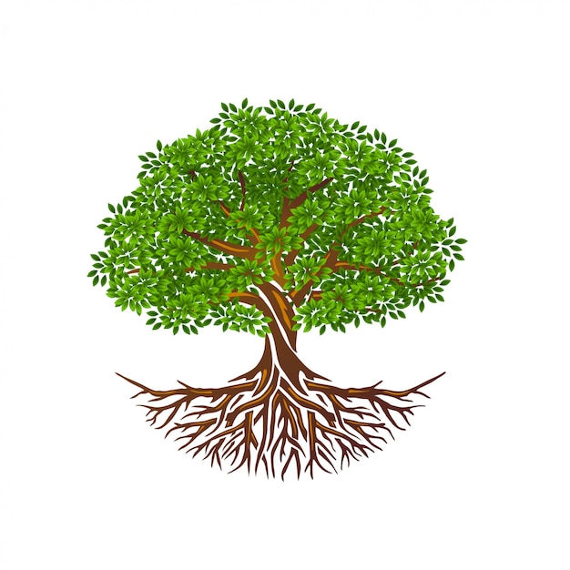 Árvore da vida ou árvore e raízes vector isolado, árvore com forma redonda