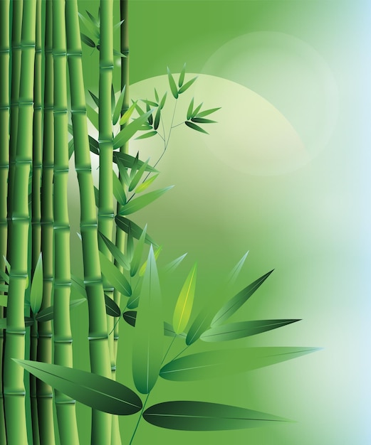 Árvore de bambu