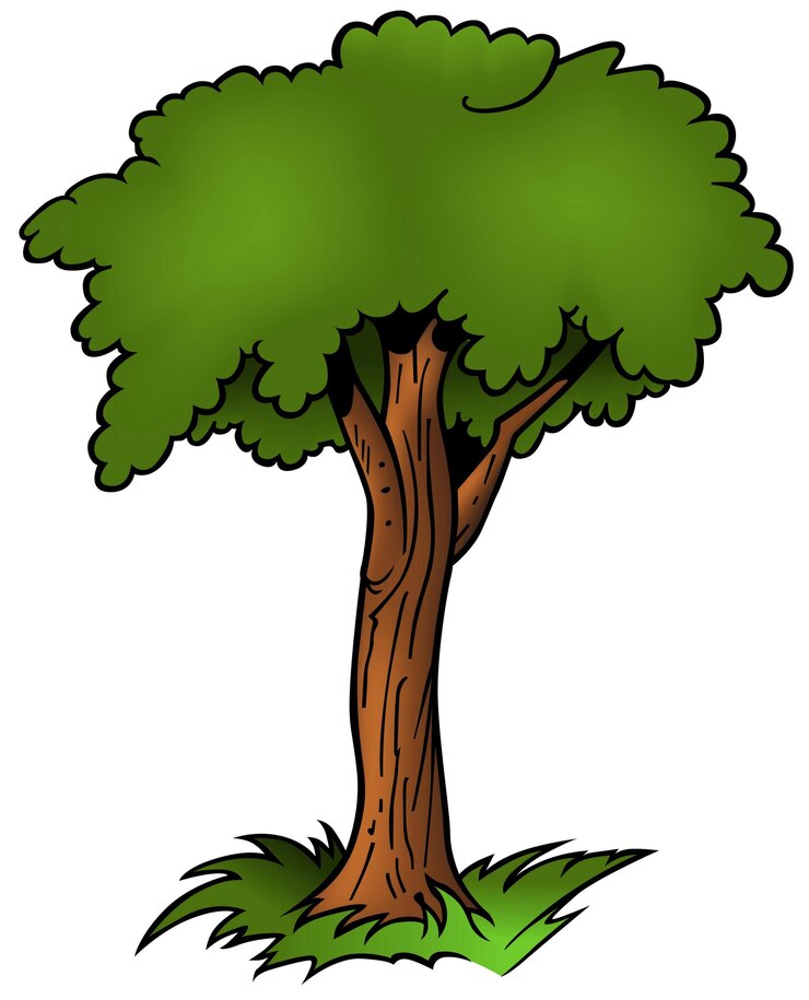 Vetor árvore de folha caduca com folhagem verde como ilustração dos desenhos animados