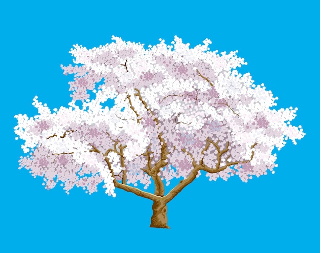 Árvore flor de cerejeira