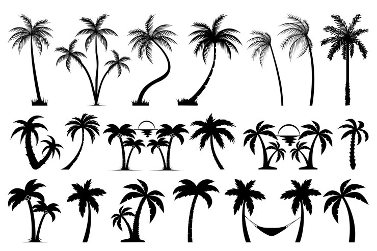 Vetor árvore silhueta bundle árvore svg bundle design árvore svg arquivos de corte árvore preta conjunto vetor