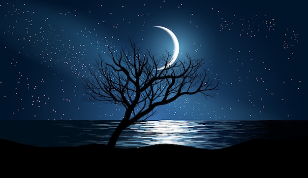 Árvore solitária na praia com céu estrelado e lua