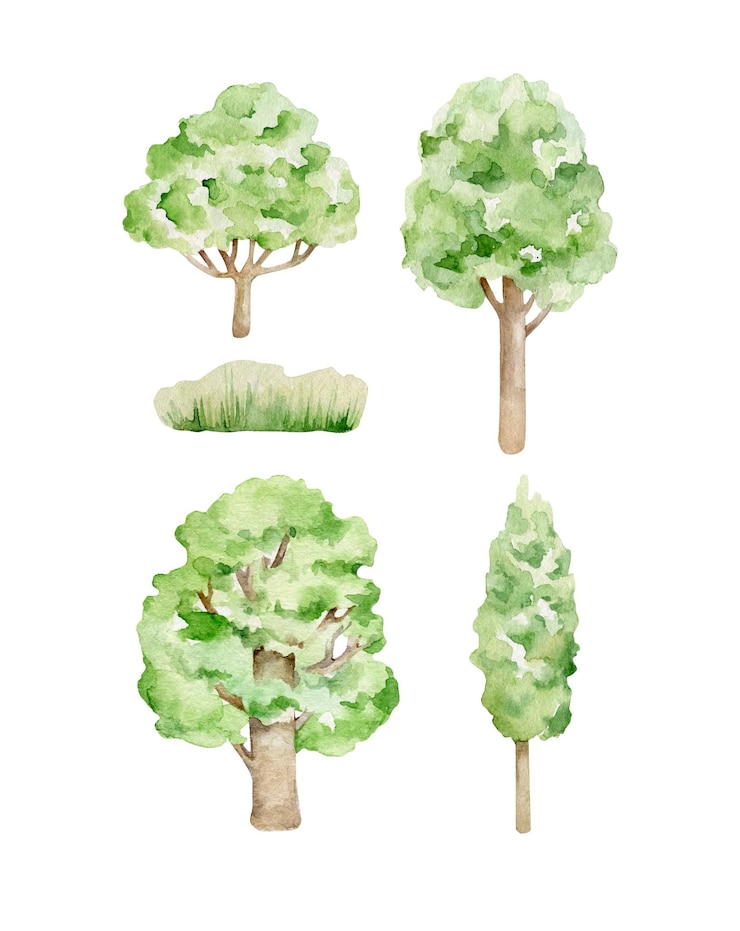 Vetor árvores aquarela
