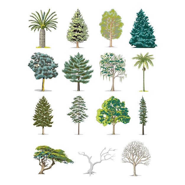 Árvores conjunto de desenhos animados vetoriais