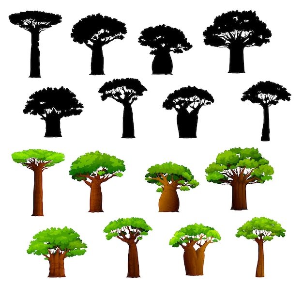 Árvores de baobab africanas e silhuetas vector baobabs de savana africana com troncos largos e folhas verdes árvores tropicais isoladas estabelecem plantas resistentes à seca da áfrica, madagascar e zanzibar