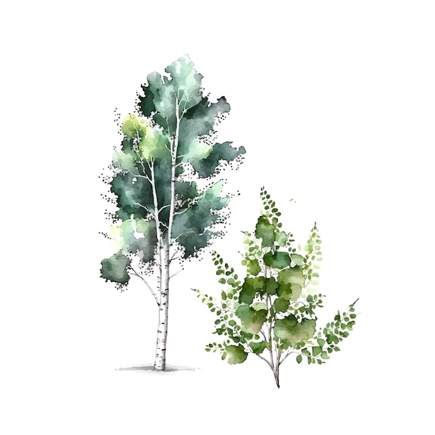 Vetor Árvores de bétulas em aquarela rússia árvore elemento de design para papéis de parede fundo do site da web ilustração vetorial