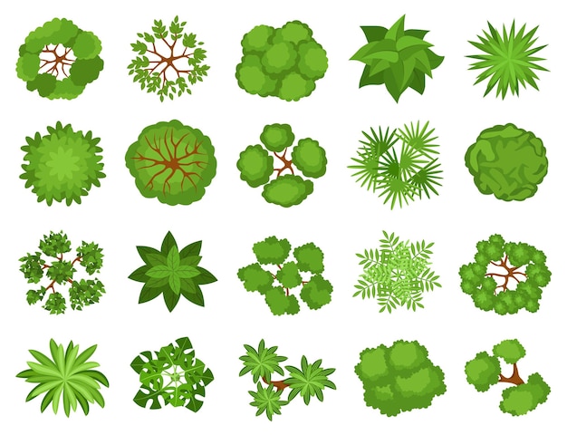 Vetor Árvores de vista superior dos desenhos animados, arbustos de plantas para design de paisagismo, elementos de plantas de arbustos de árvores de jardim para conjunto de vetores de plano de paisagem