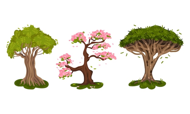Árvores diferentes como plantas perenes com galhos de tronco e set de vetores de folhas