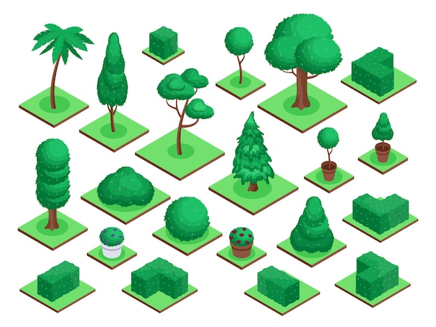 Vetor Árvores isométricas 3d parque da cidade ou planta florestal arbusto flores vaso elementos de paisagem de palmeira