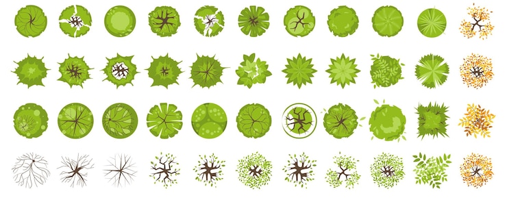 Vetor árvores vista superior de diferentes plantas coloridas e vetor de árvores definido para projeto arquitetônico e paisagístico