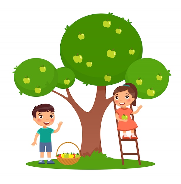 As crianças que escolhem maçãs colorem a ilustração lisa. menino e menina colhendo frutas juntos. irmã na escada e irmão perto de macieira no jardim. personagens de desenhos animados isolados no branco