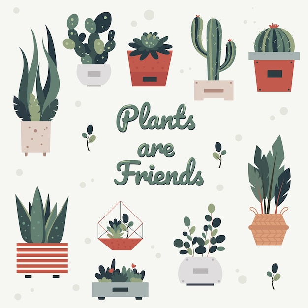 As plantas são amigas