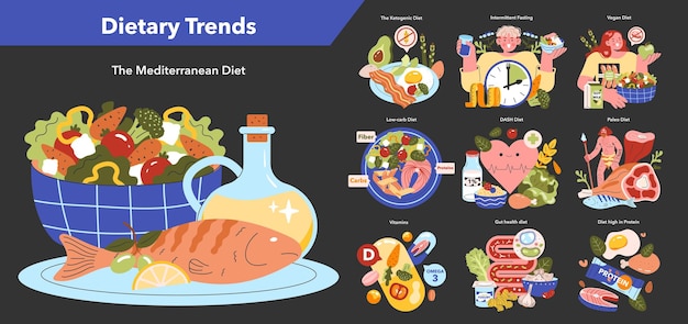 Vetor as tendências dietéticas ilustram as dietas de saúde populares, incluindo a keto mediterrânea e a paleo