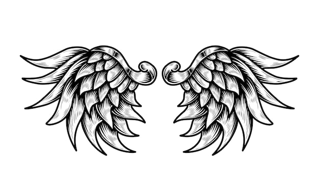 Vetor asas de pássaros vetoriais ou tatuagens vintage de asas de anjo