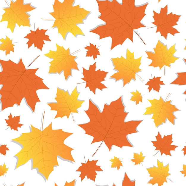 Autumn Seamless Pattern Yellow Folhas de plátano Ornamento Temporada de outono