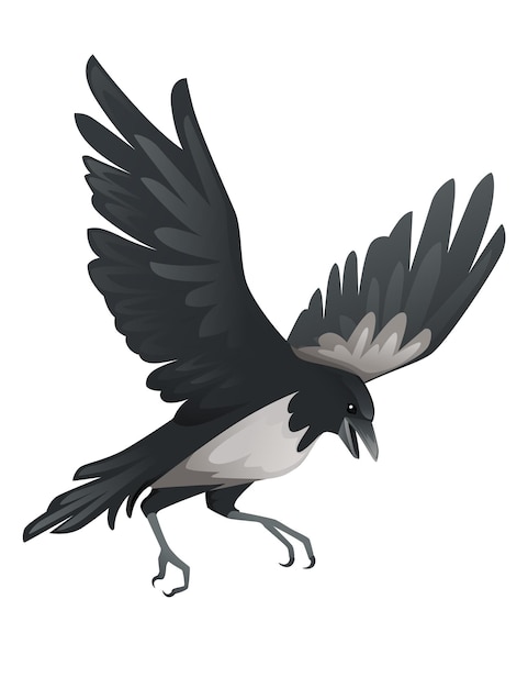 Ave predatória adulto corvo preto e cinza desenho animal desenho de aves de rapina personagem ilustração vetorial plana isolada no fundo branco