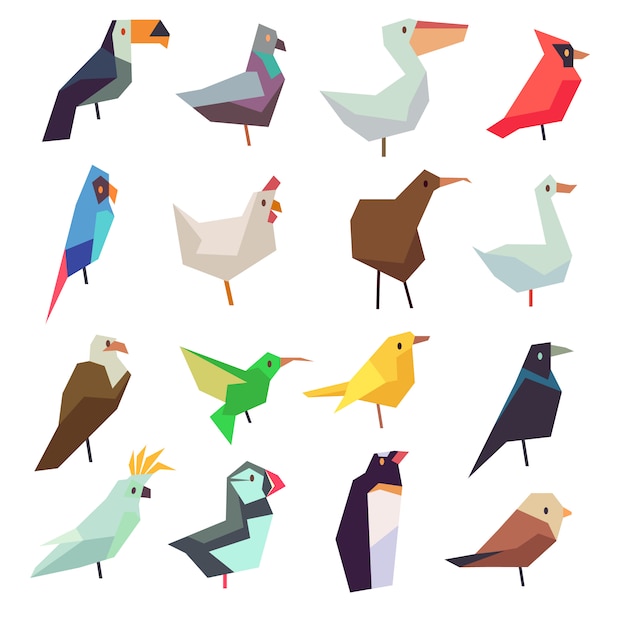 Aves em coleção estilo simples. Ilustração de frango e papagaio, pardal e pombo