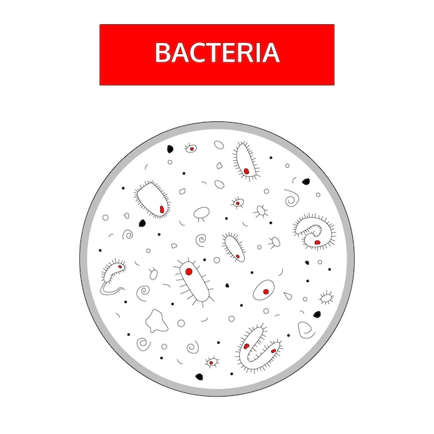 Vetor bactérias preto e branco com um núcleo vermelho em um fundo branco sob um microscópio