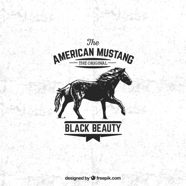 Badge mustang americano