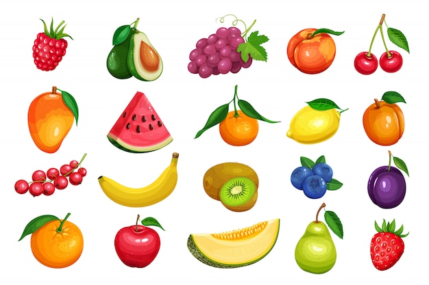 Bagas e frutos em estilo cartoon