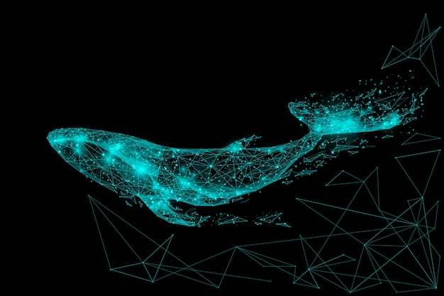 Baleia azul composta por polígono. conceito digital de animais marinhos. ilustração em vetor baixo poli de um céu estrelado ou comos.