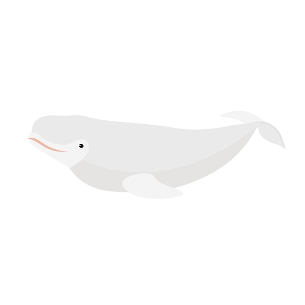 Baleia branca