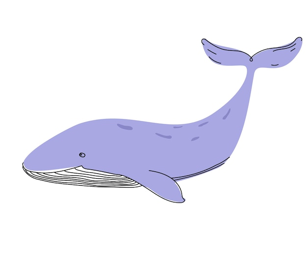 Baleia vetorial engraçada desenhada à mão no estilo doodle