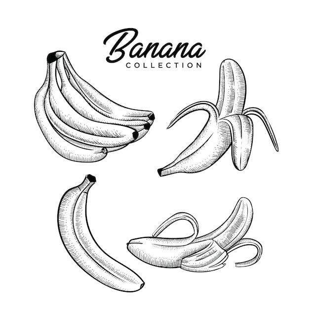 Vetor banana coleção mão desenhada estilo