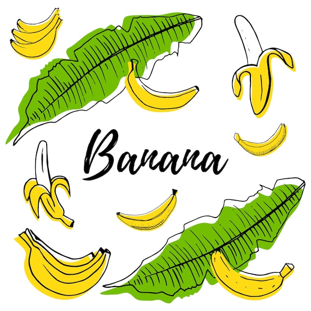 Banana de frutas desenhadas à mão com ilustração em vetor formas coloridas isolada no fundo branco