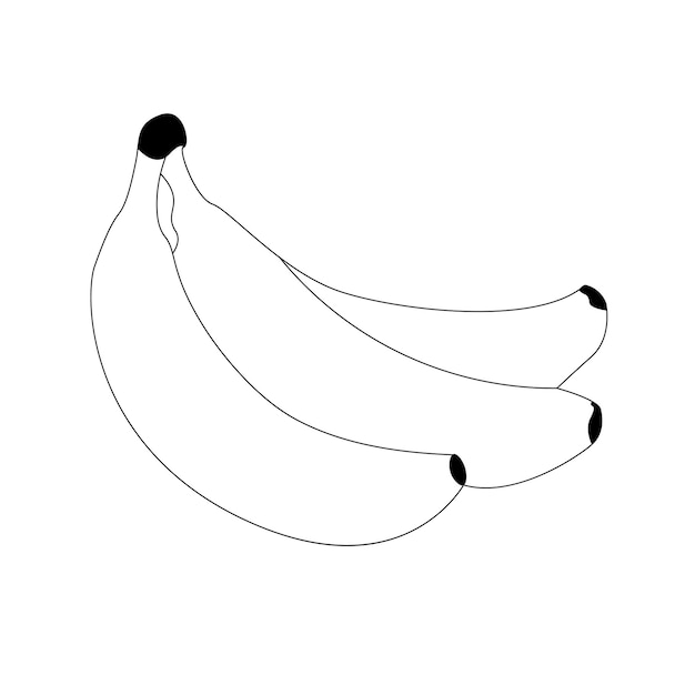 Vetor banana isolada em fundo branco ilustração de arte de linha de banana