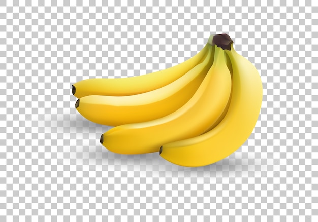 Vetor banana isolada.