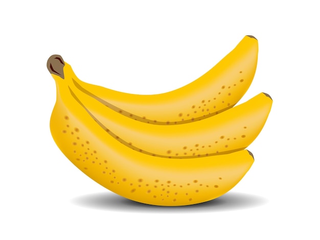 Banana vetorial. cachos de frutas frescas de banana isoladas no fundo branco