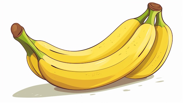 Banana vetorial livre sobre um fundo branco