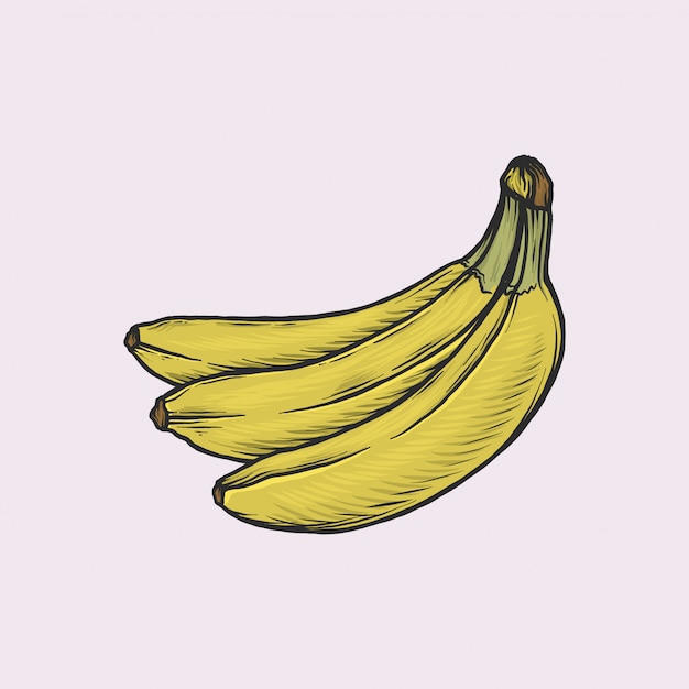 Vetor banana vintage handdrawn