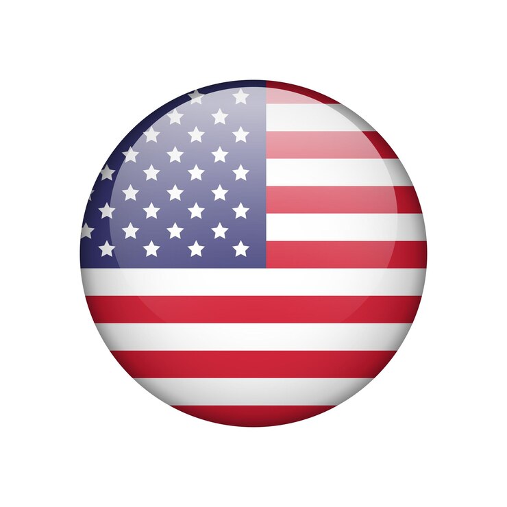 Vetor bandeira da américa vector de ícone redondo