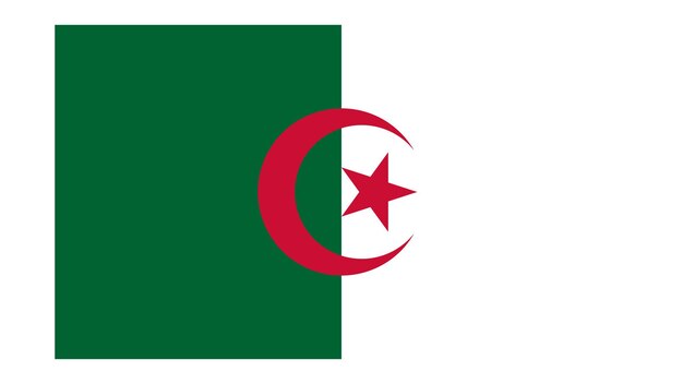 Vetor bandeira da argélia com cor original