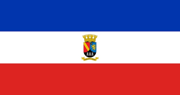 Vetor bandeira da cidade de chillan viejo no chile imagem vetorial