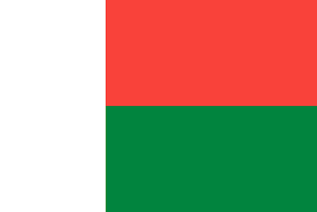 Vetor bandeira da nação bandeira de madagascar