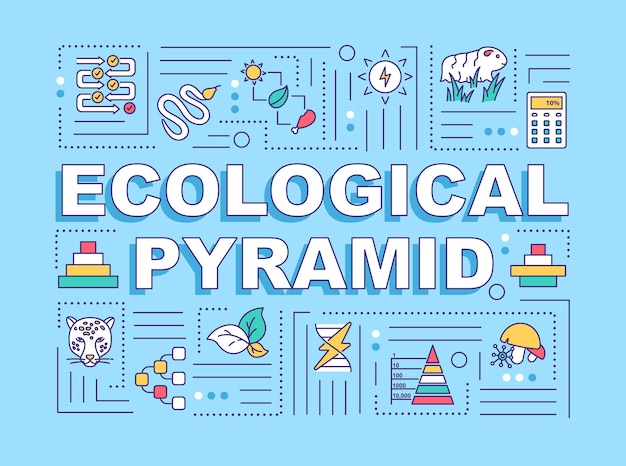 Bandeira de conceitos de palavra de pirâmide ecológica. biodiversidade, produtores e consumidores. infográficos com ícones lineares em fundo turquesa. tipografia isolada. ilustração de cor rgb de contorno vetorial