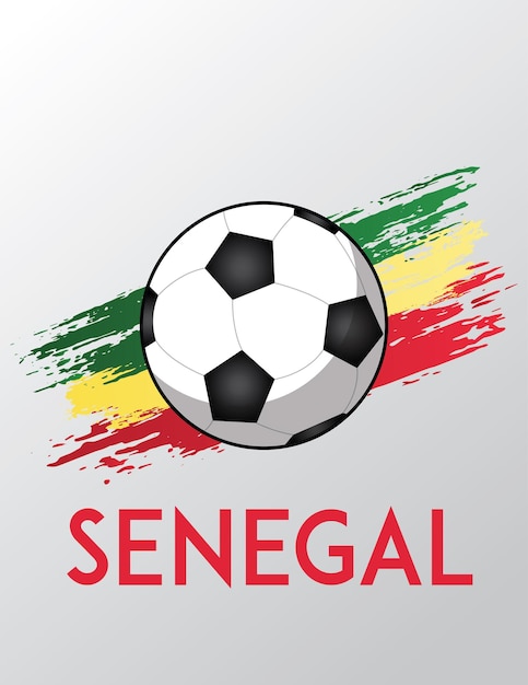 Bandeira de escova de futebol para o senegal